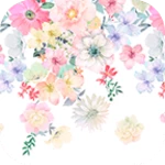 curtain of flowers theme android application logo